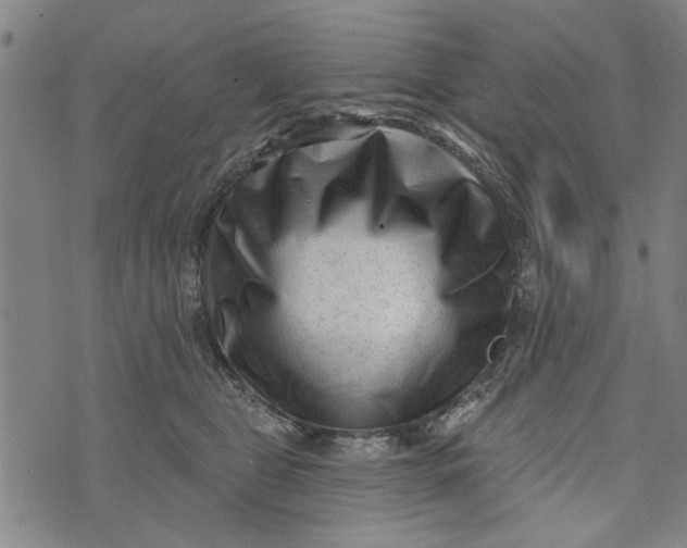 X0000073730469200608241301