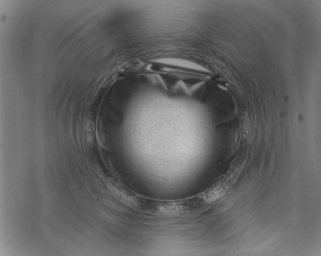 X0000073730470200608241301