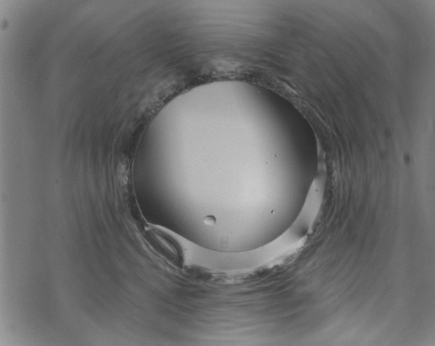 X0000073730472200608241301