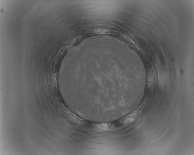 X0000073730473200608241301