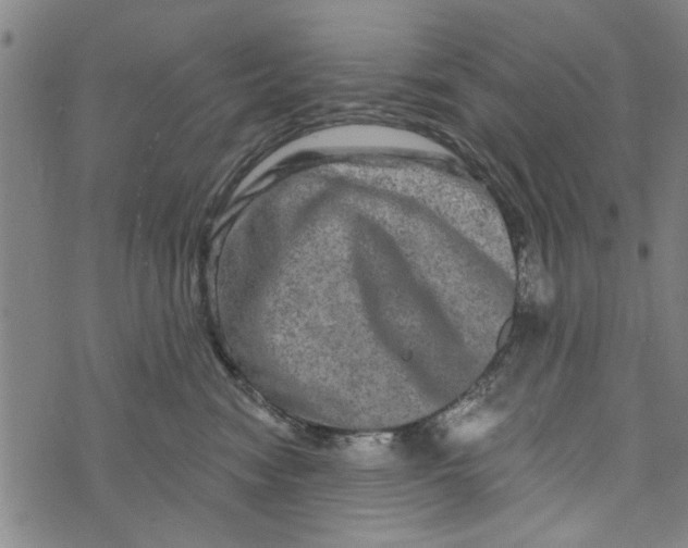 X0000073730474200608241301