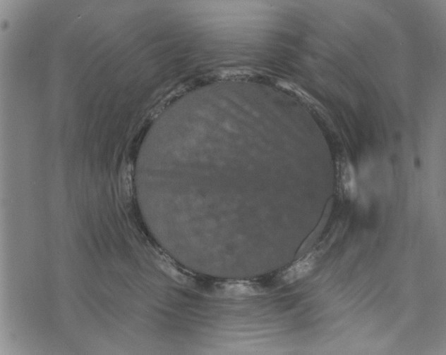 X0000073730475200608241301