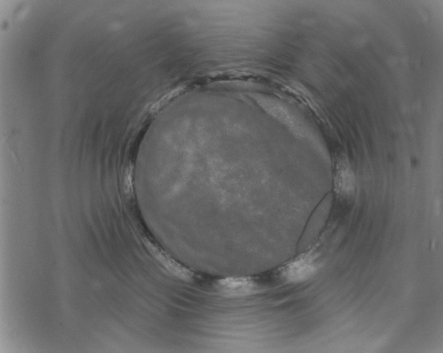 X0000073730477200608241301