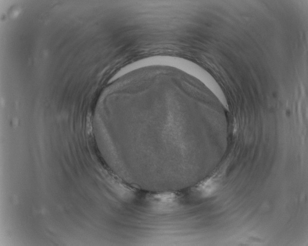 X0000073730478200608241301