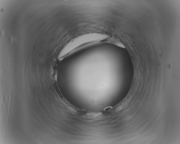 X0000073730480200608241301