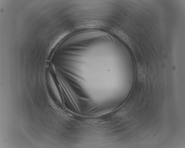 X0000073730482200608241300