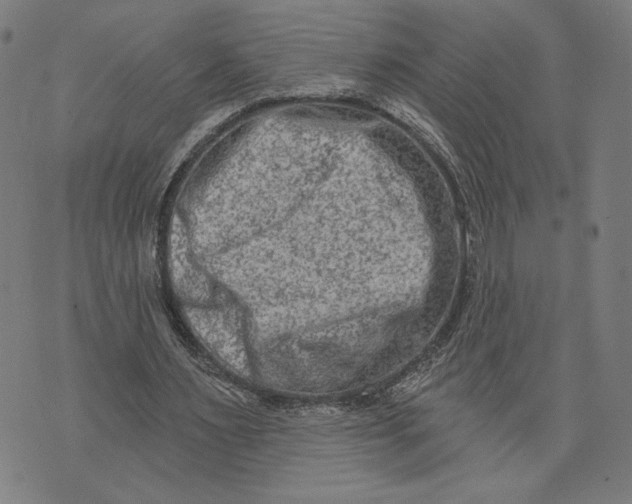 X0000073730483200608241300