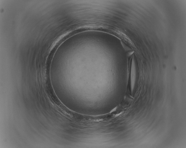 X0000073730484200608241300