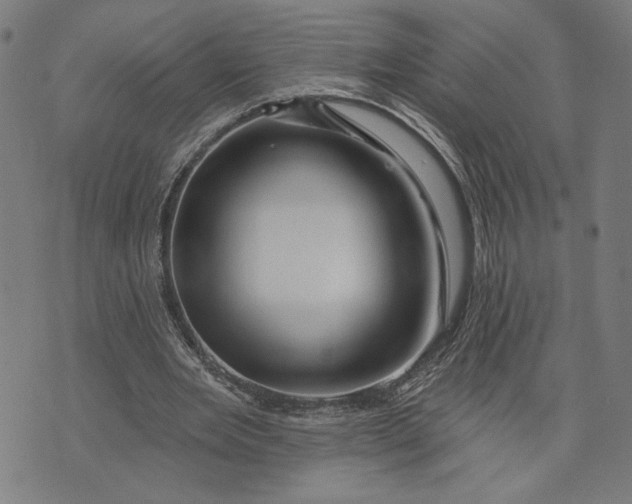 X0000073730485200608241300