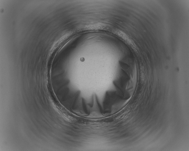 X0000073730486200608241300