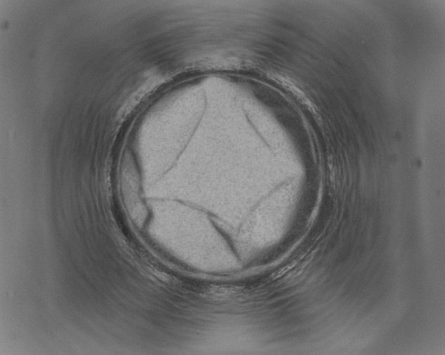 X0000073730487200608241300