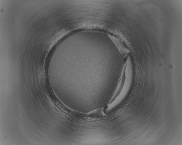 X0000073730488200608241300