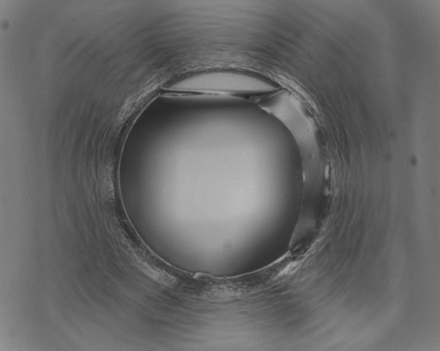 X0000073730489200608241300