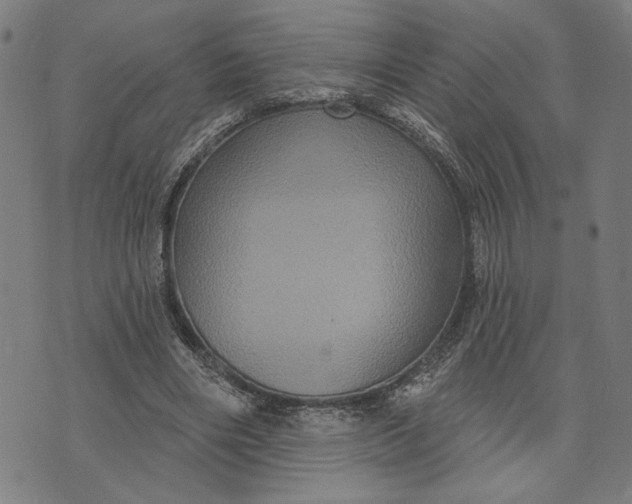 X0000073730490200608241300