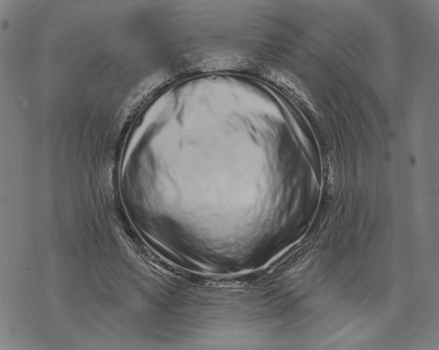 X0000073730491200608241300