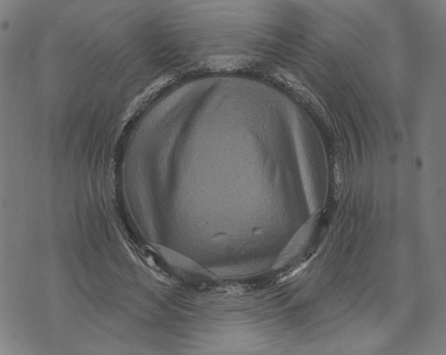 X0000073730492200608241300