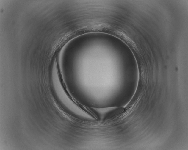 X0000073730493200608241300