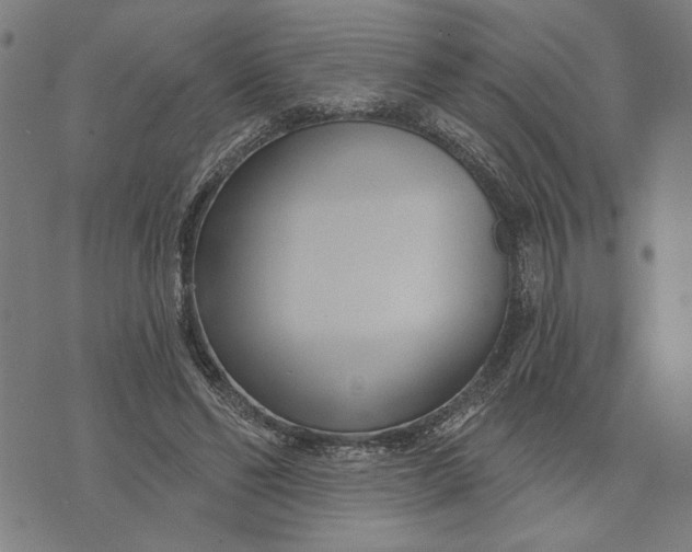 X0000073730494200608241300