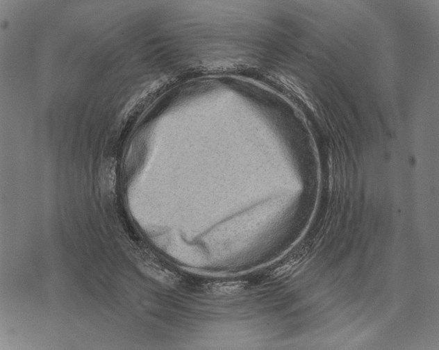 X0000073730495200608241300