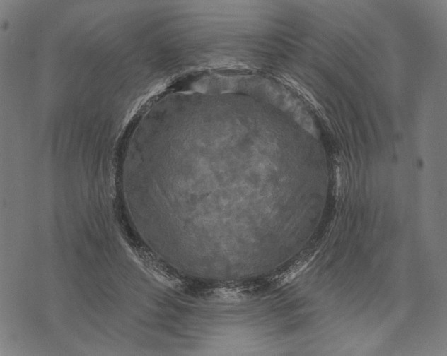 X0000073730496200608241300