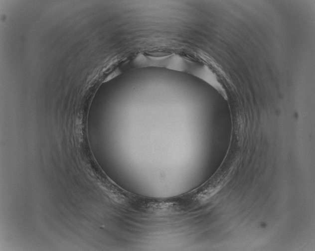 X0000073730497200608241300