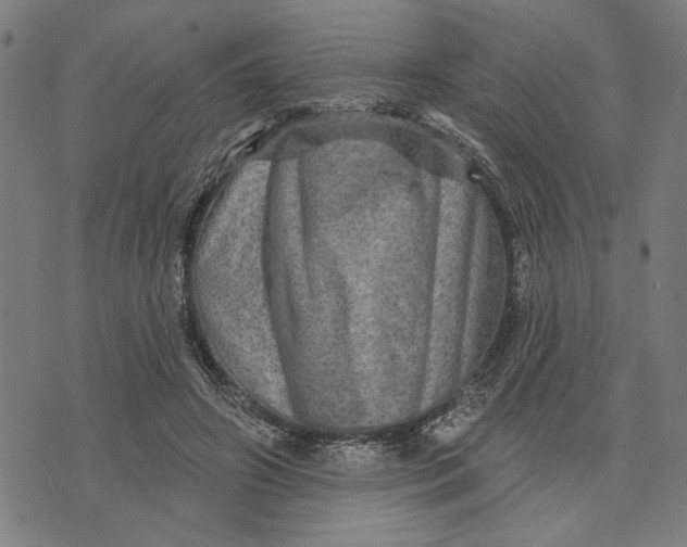 X0000073730498200608241300