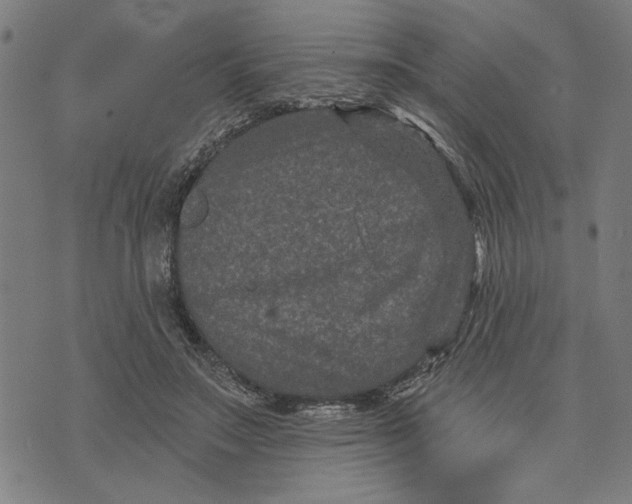 X0000073730499200608241300