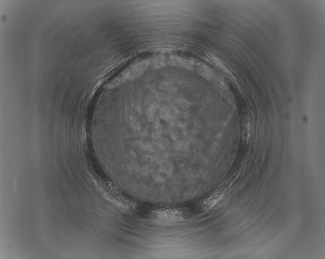 X0000073730500200608241300