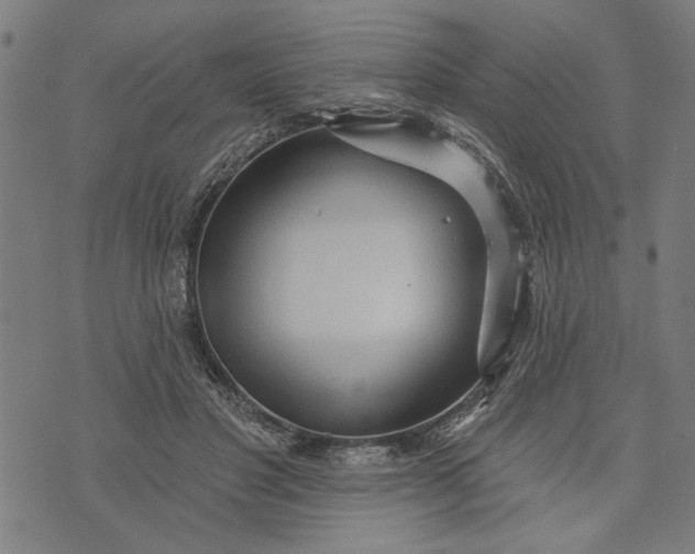 X0000073730501200608241300