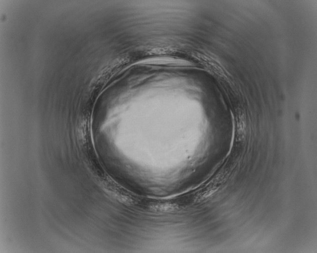 X0000073730503200608241300