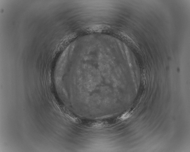 X0000073730504200608241300