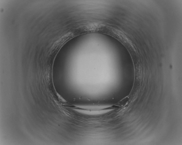 X0000073730505200608241300