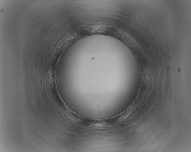 X0000073730506200608241300