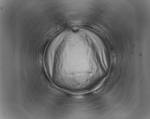 X0000073730507200608241300