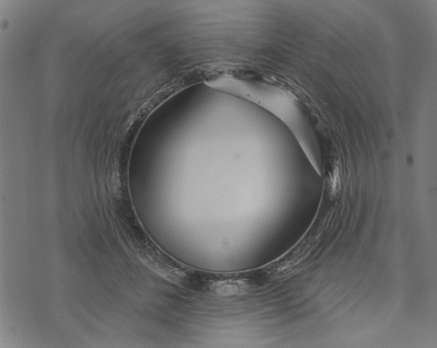 X0000073730508200608241300