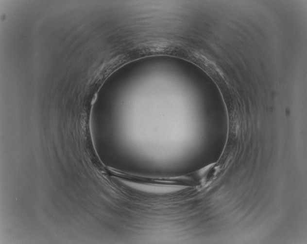 X0000073730509200608241300