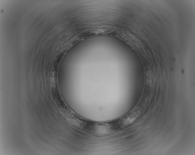 X0000073730510200608241300