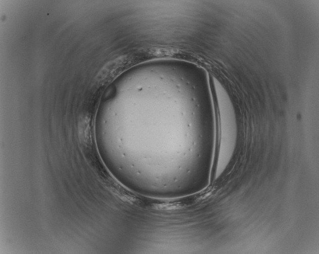 X0000073730511200608241300