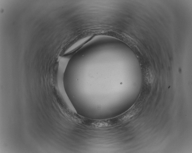 X0000073730512200608241300