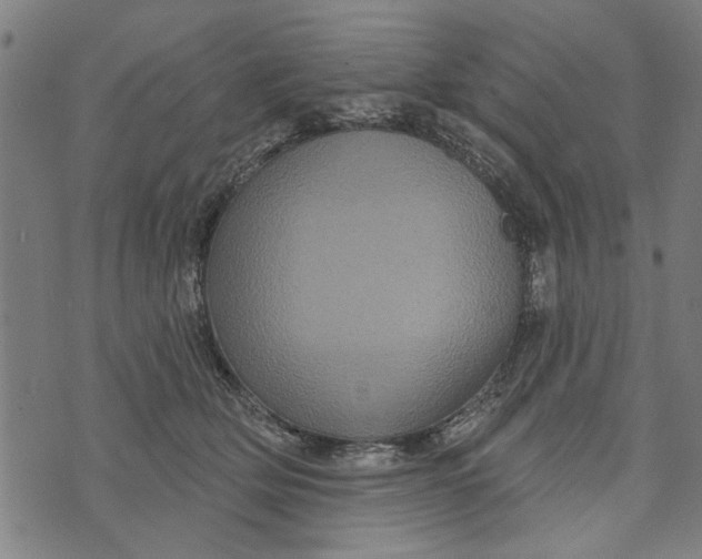 X0000073730514200608241300