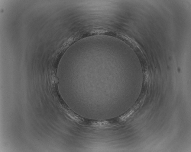 X0000073730517200608241300