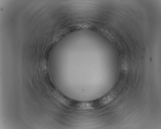 X0000073730518200608241300