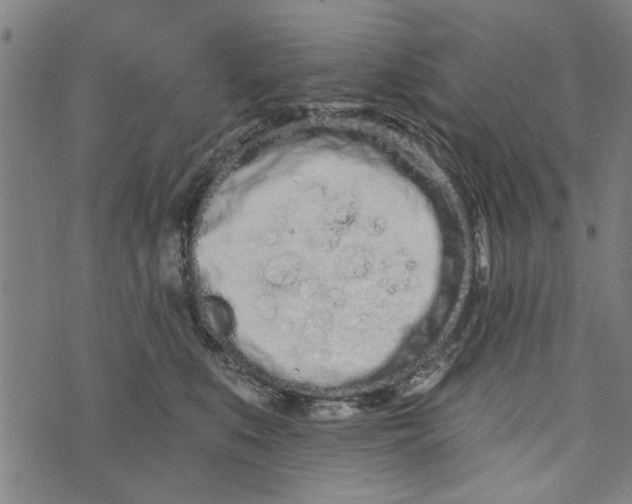 X0000073730519200608241300