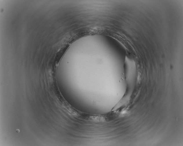 X0000073730520200608241300