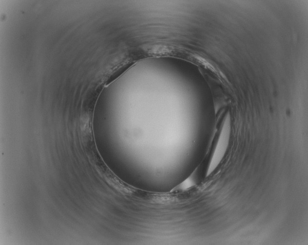 X0000073730521200608241300