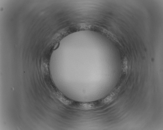 X0000073730522200608241300