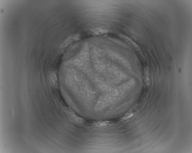 X0000073730523200608241300