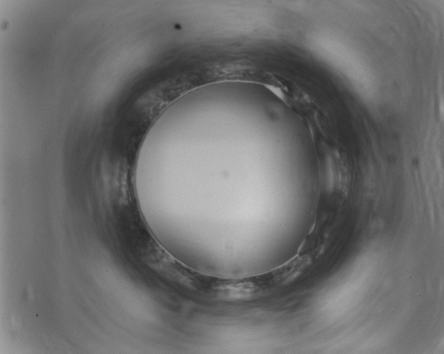 X0000073730525200608241300