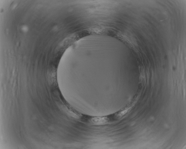 X0000073730526200608241300