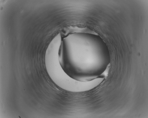 X0000073730528200608241300